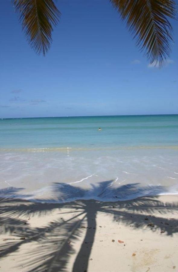 T2 Les Pieds Dans L'Eau Face A La Mer Des Caraibes Sainte Luce - Trois Rivieres Exterior photo